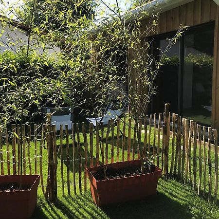 Charmante Cabane Bois 居让梅斯特拉 外观 照片